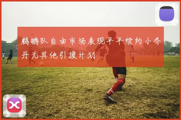 鹈鹕队自由市场表现平平续约小乔丹无其他引援计划