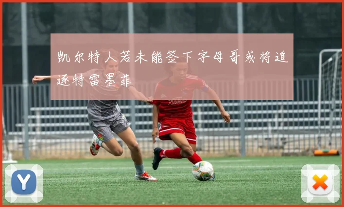 凯尔特人若未能签下字母哥或将追逐特雷墨菲