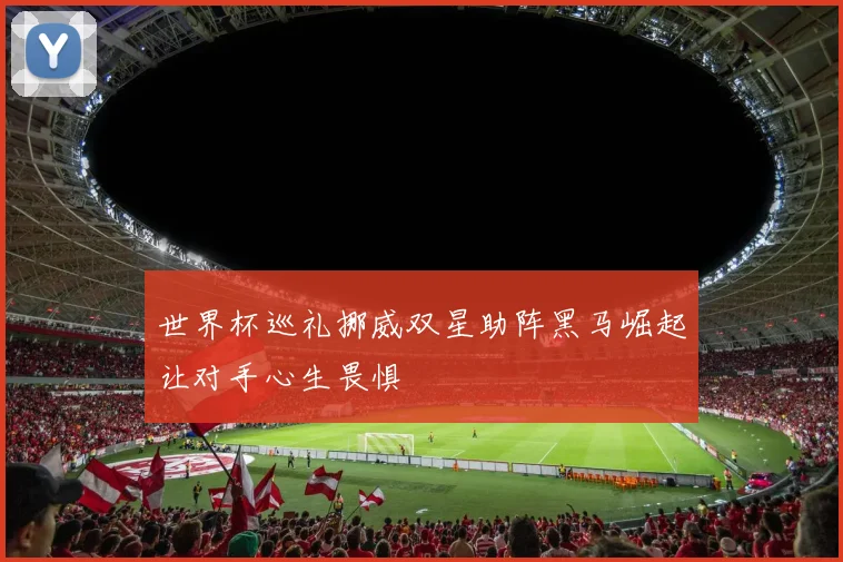 世界杯巡礼挪威双星助阵黑马崛起让对手心生畏惧